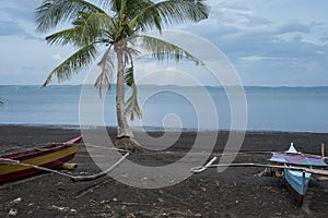Traditional rowboats and coconut tree on a volcanic beach at Tabaco in the Philippines photo