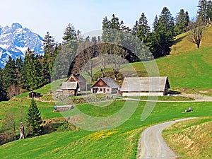 Traditional rural architecture and family livestock farms in the Seeztal valley and over Lake Walensee, Walenstadtberg