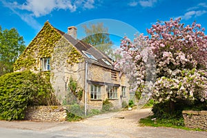 Traditional rural homes scene