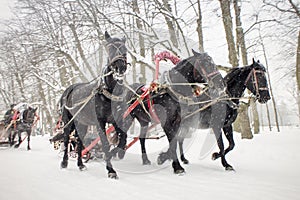 Traditional russian black troika.