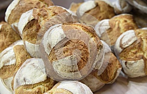 traditional rustic bread group.