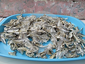 Traditional salted fish is processed still in the traditional way  delicious  tasty and without preservatives