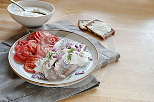 Traditional salted herring fillets with cream sauce, red onions, dill garnish and tomatoes on a wooden table, copy space
