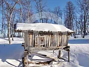 Traditional sapmi cabin in Arjeplog