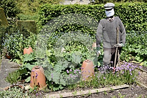 Traditional Scarecrow with Terracotta Clay Rhubarb Cloches in garden, Yorkshire, England, UK. photo