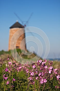 Traditional Scottish coastal windmill with flowers