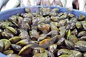 Traditional Seafood Market display in Tegucigalpa plate full of curles