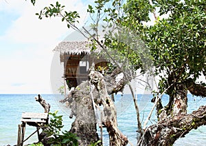 Traditional shack on tree