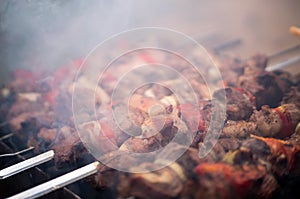 Traditional shish kebab