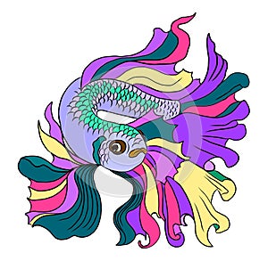 Traditional siam betafish for doodle art on background.