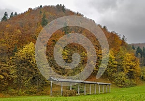 A traditional Slovenian drying frame hay rack called a kozolec in the countryside near Lake Bled, Slovenia, in the autumn season