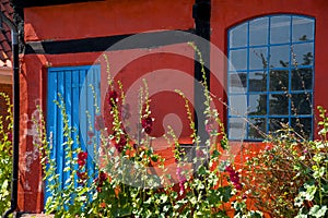 a traditional small,red,danish framehouse in summer in Bornholm with blue sky