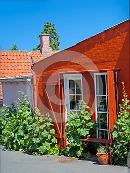 a traditional small,red,danish framehouse in summer in Bornholm with blue sky