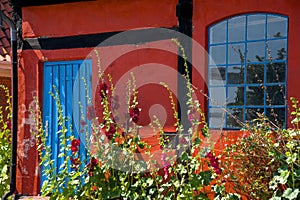 a traditional small,red,danish framehouse in summer in Bornholm with blue sky photo