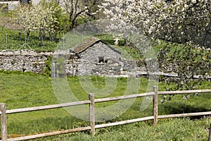 Traditional small stone water mill on a bright sunny spring day next to stream with green vegetation in Tormaleo village Asturias