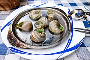 Traditional snails with garlic butter