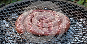 Traditional South African boerewors sausage grilled on a fire