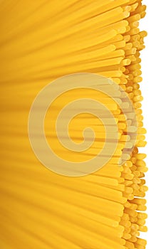 Traditional spaghetti horizontal pattern, large detailed  vertical raw dry long uncooked egg pasta macro closeup, natural