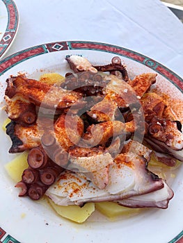 Traditional spanish pulpo a la gallega, octopus with paprika, olive oil and sea salt