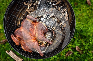 Traditional spatchcocked barbecue chicken al mattone on charcoal grill photo