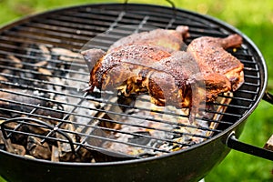 Traditional spatchcocked barbecue chicken al mattone on charcoal grill photo