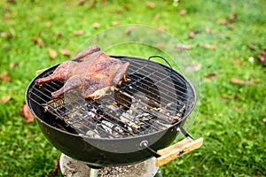 Traditional spatchcocked barbecue chicken al mattone on charcoal grill photo