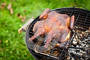 Traditional spatchcocked barbecue chicken al mattone on charcoal grill photo