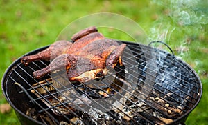 Traditional spatchcocked barbecue chicken al mattone on charcoal grill photo