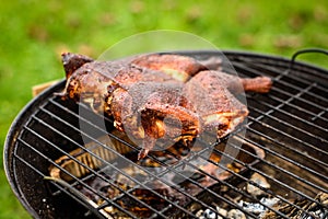Traditional spatchcocked barbecue chicken al mattone on charcoal grill photo
