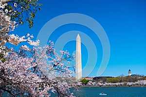 Traditional spring festival of Japanese cherry blossoms. Tidal Basin and Washington Monument. Cherry blossoms in Washington DC