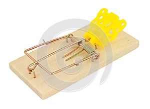 Traditional Spring Loaded Bar Mouse Trap