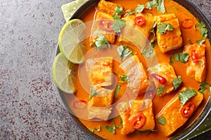 Traditional Sri Lankan Fish Curry made with white fish and filled with asian spices close up on a plate. Horizontal top view
