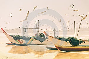 Traditional Sri Lankan fishing boats with nets for catching fish standing on sea shore, seagulls fly around them.