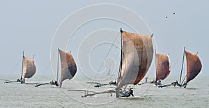 Traditional Sri Lankan fishing boats under sail