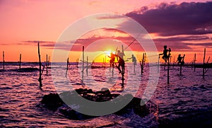 Traditional stilt fisherman in Sri Lanka