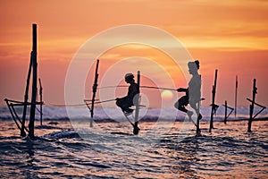 Traditional stilt fishing in Sri Lanka