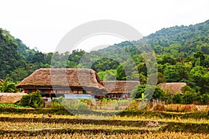 Traditional stilted house this charming home stay belongs to a local Tay family. photo