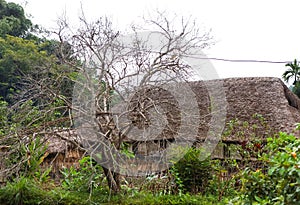 Traditional stilted house this charming home stay belongs to a local Tay family.