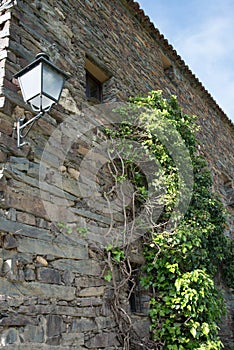 Traditional stone house with climbing plant. Patones de Arriba, Madrid photo