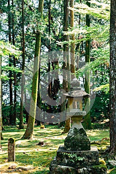 Traditional stone lantern with forest at Godaisan mountain Chikurin-ji temple in Kochi, Shikoku, Japan