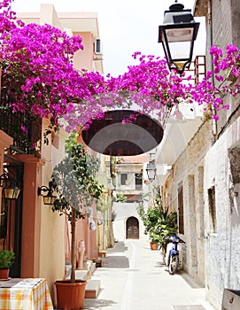 Traditional street amoung bougainvillaea in rethymno city Greece photo