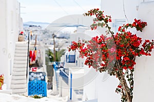 Traditional street of Mykonos island in Greece