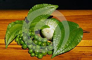 Traditional Sundanese raw salads Leunca Solanum nigrum. Daun Pohpohan Pilea melastomoides. A round eggplant Solanum melongena very