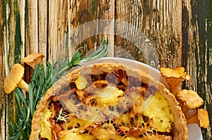 Traditional swedish pie - quiche with chanterelle mushrooms, cheese and herbs decorated with fresh rosemary on the kitchen table