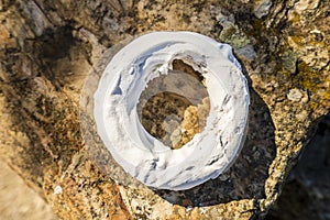 Traditional sweet pastry from Almodovar, donut with icing-sugar, Portugal