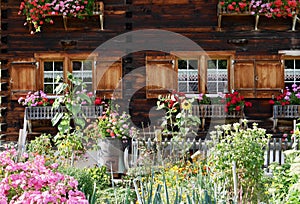 Traditional Swiss country house with cottage garden. St. Antoenien, Grisons, Switzerland.