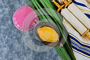 Traditional symbols of Sukkot with four species etrog lulav hadas arava