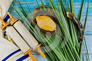 Traditional symbols of Sukkot with four species etrog lulav hadas arava