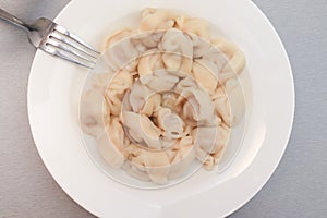 Traditional tasty boiled russian pelmeni, ravioli, dumplings with meat on white ceramic plate on grey background