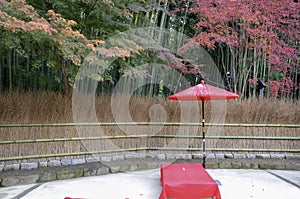 Traditional tea garden with vivid red color cloth by a bamboo forest